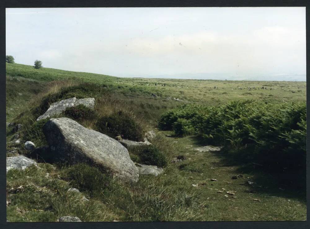 An image from the Dartmoor Trust Archive