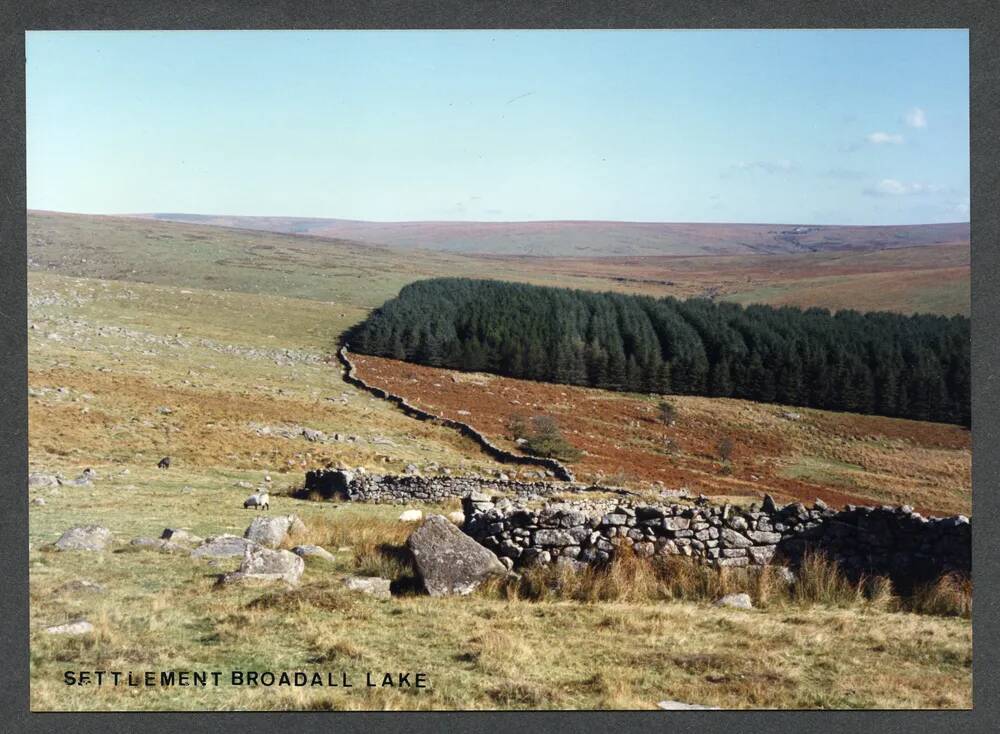 An image from the Dartmoor Trust Archive