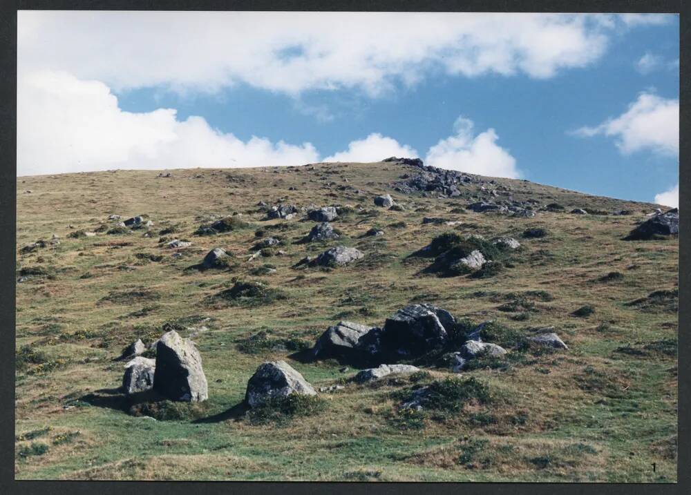 An image from the Dartmoor Trust Archive