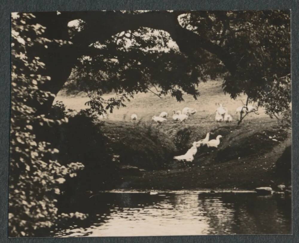 An image from the Dartmoor Trust Archive