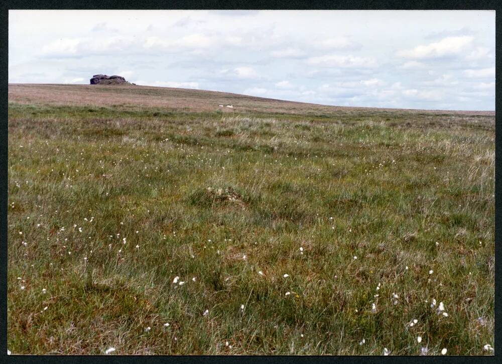 An image from the Dartmoor Trust Archive