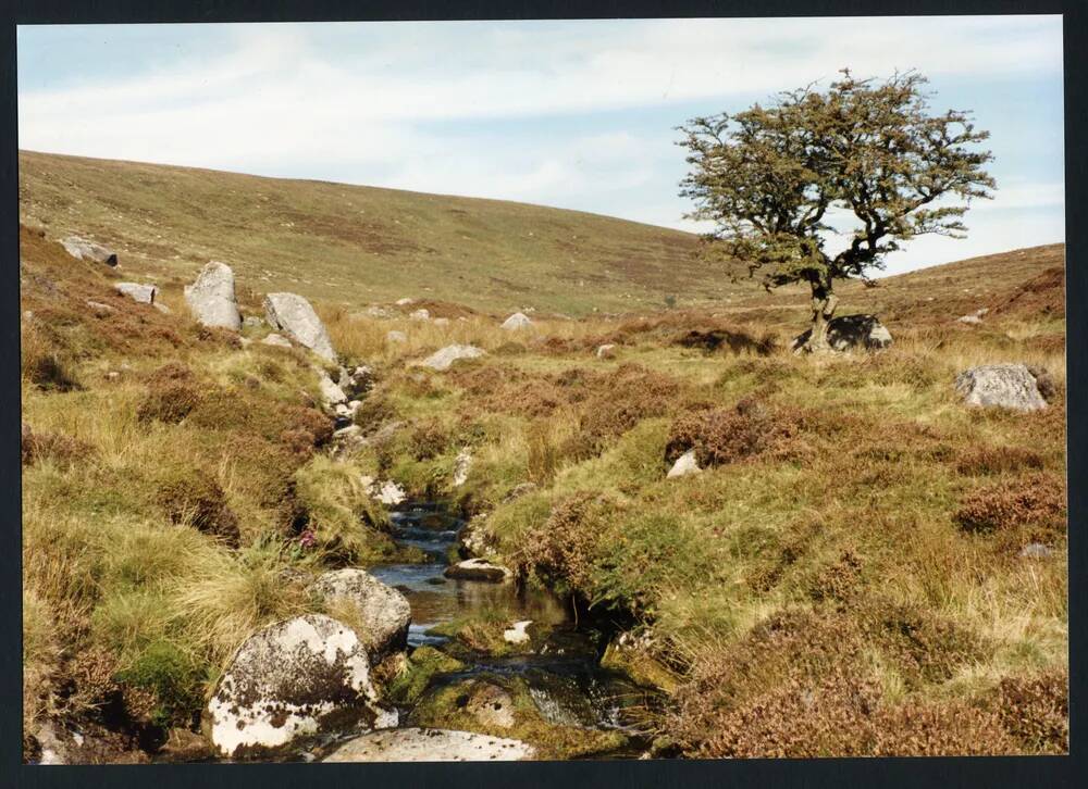 An image from the Dartmoor Trust Archive