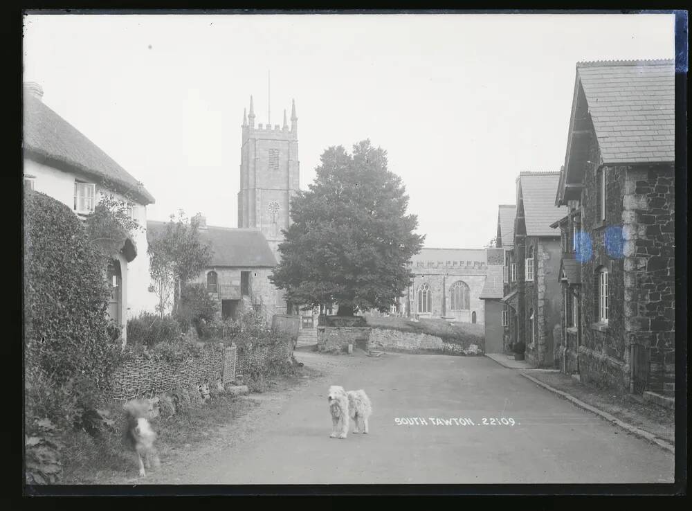 Street view + church, Tawton, South