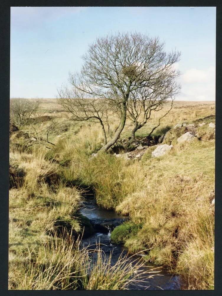 An image from the Dartmoor Trust Archive