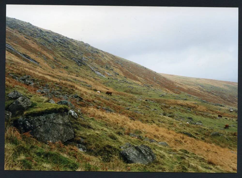 An image from the Dartmoor Trust Archive