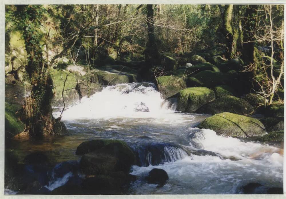 An image from the Dartmoor Trust Archive