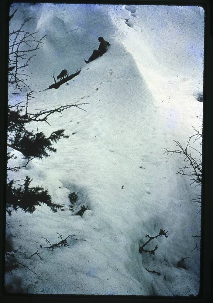 An image from the Dartmoor Trust Archive