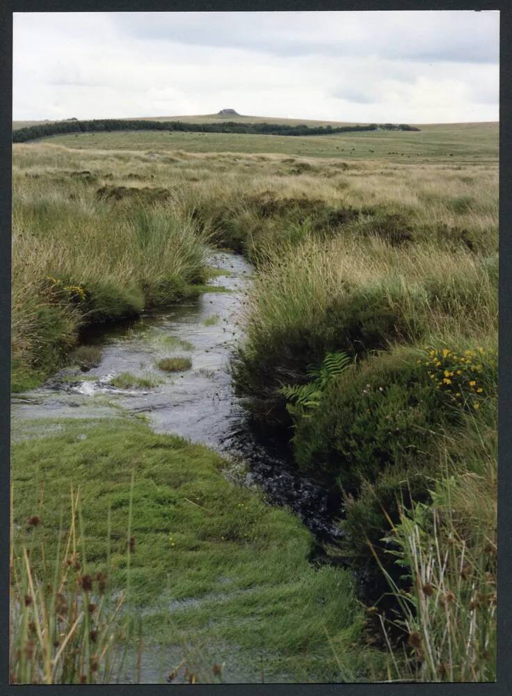 An image from the Dartmoor Trust Archive