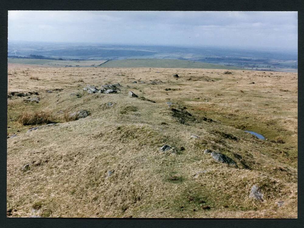 An image from the Dartmoor Trust Archive