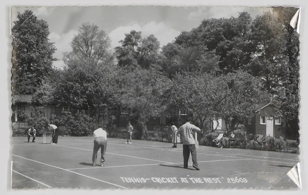 Sport at the Nest,paignton