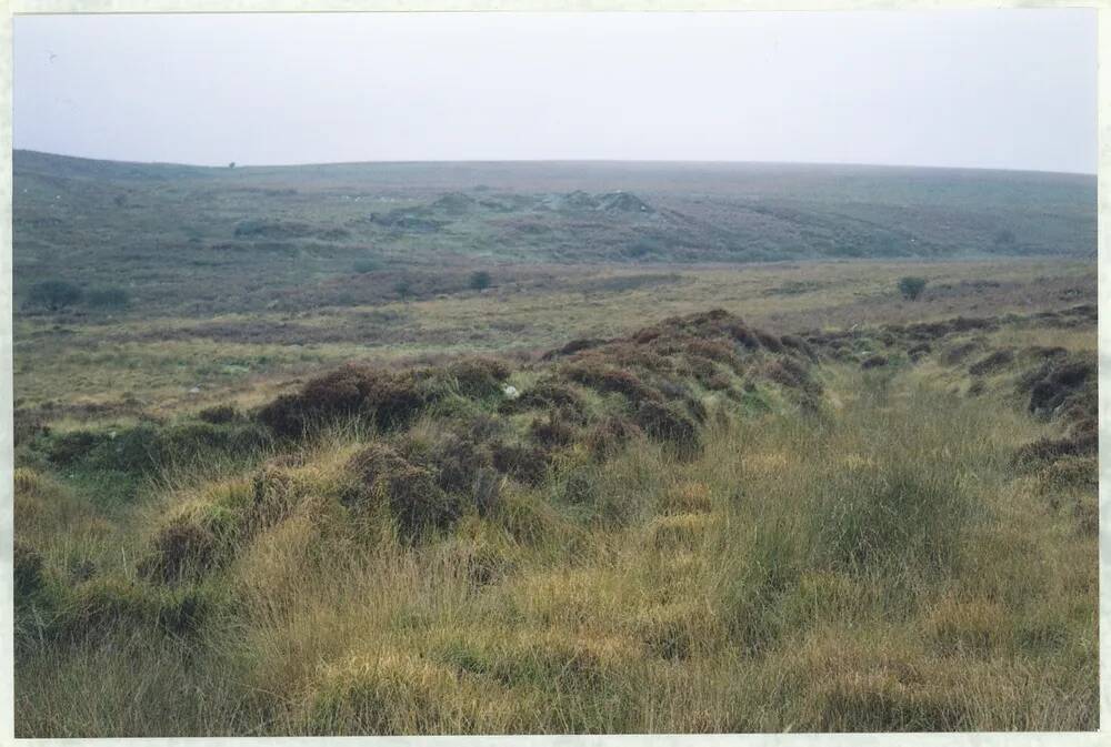 An image from the Dartmoor Trust Archive