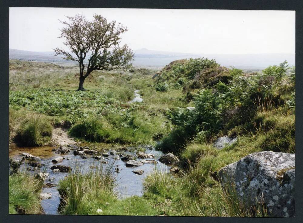 An image from the Dartmoor Trust Archive