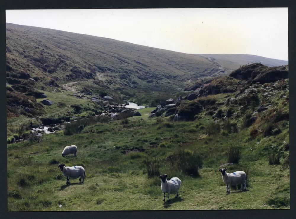 An image from the Dartmoor Trust Archive