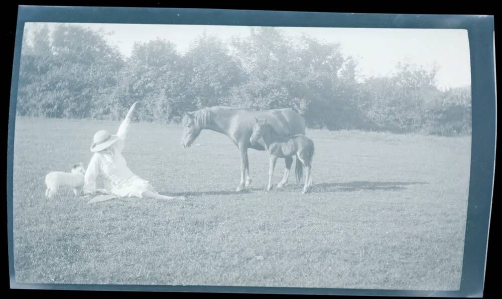 An image from the Dartmoor Trust Archive