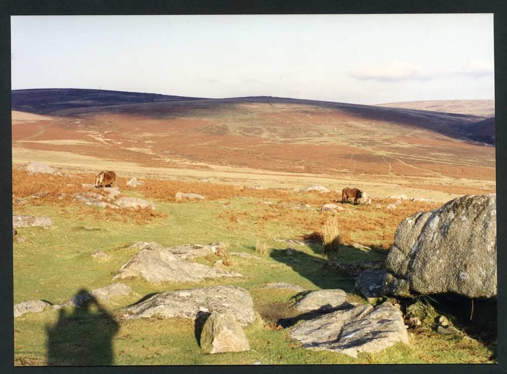 An image from the Dartmoor Trust Archive