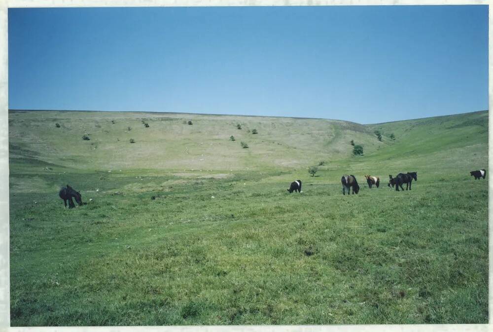 An image from the Dartmoor Trust Archive