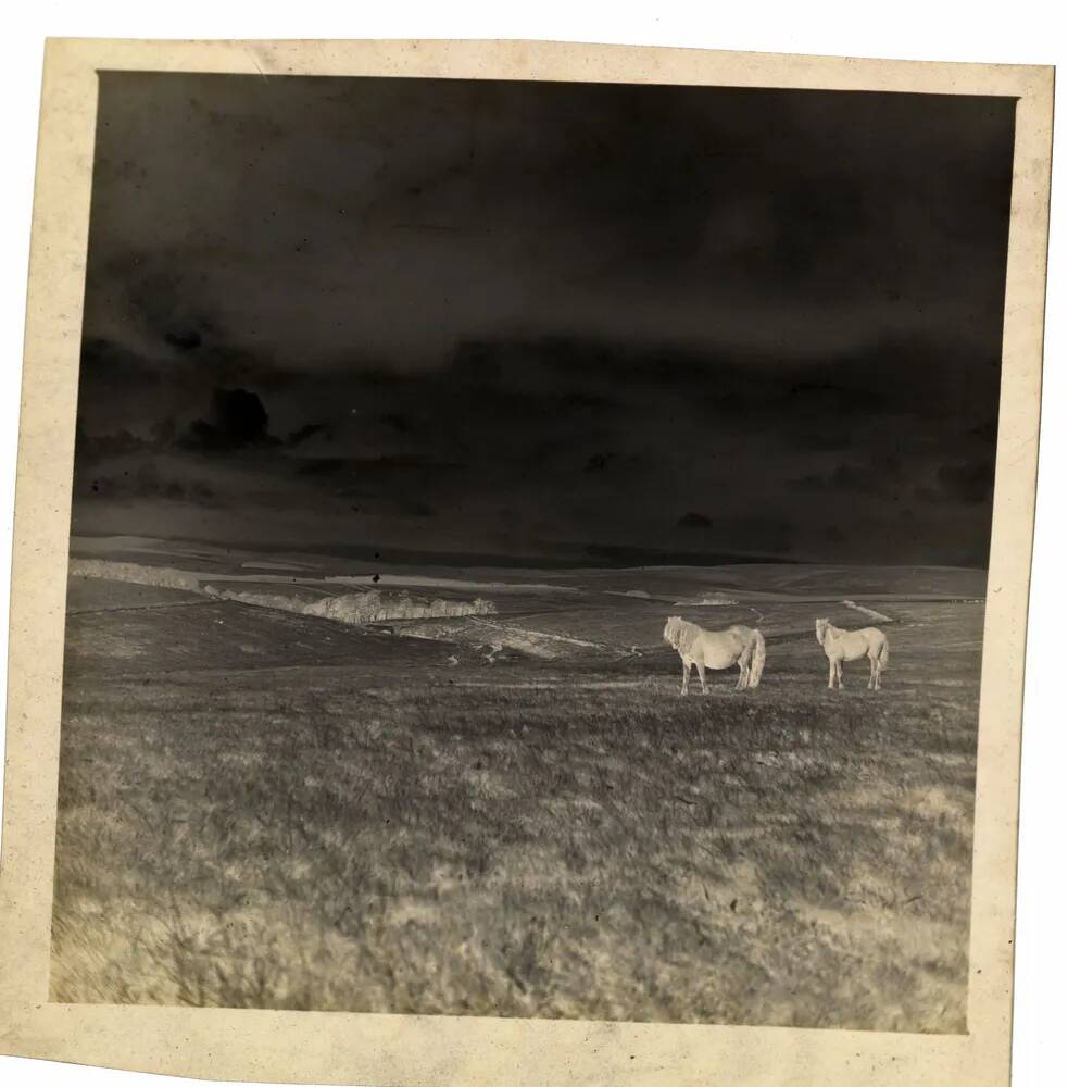 An image from the Dartmoor Trust Archive