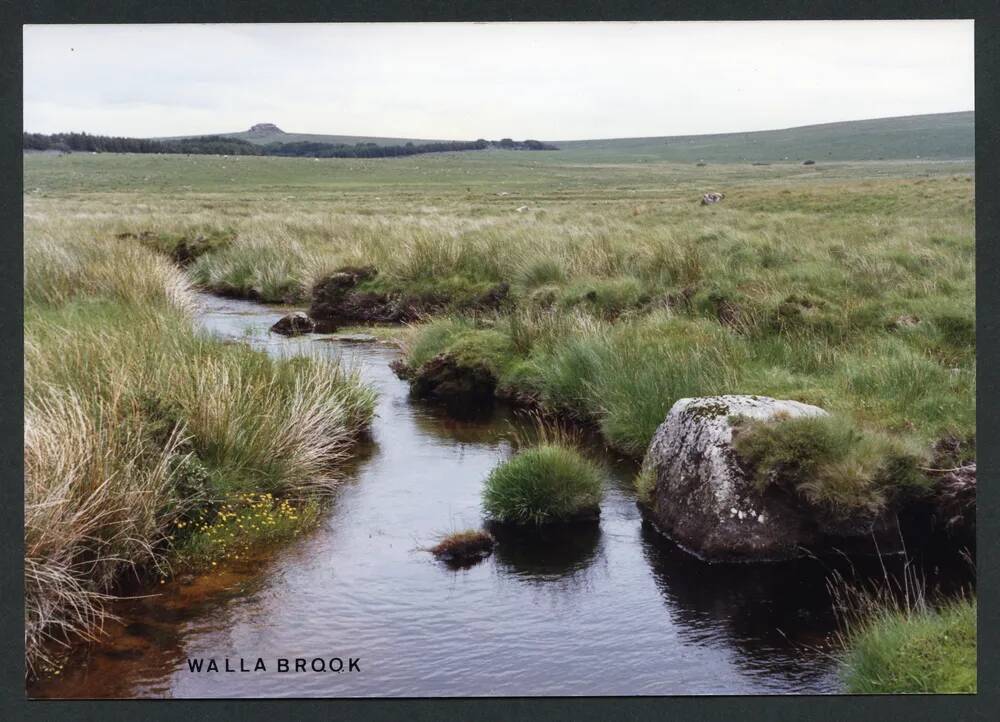 An image from the Dartmoor Trust Archive