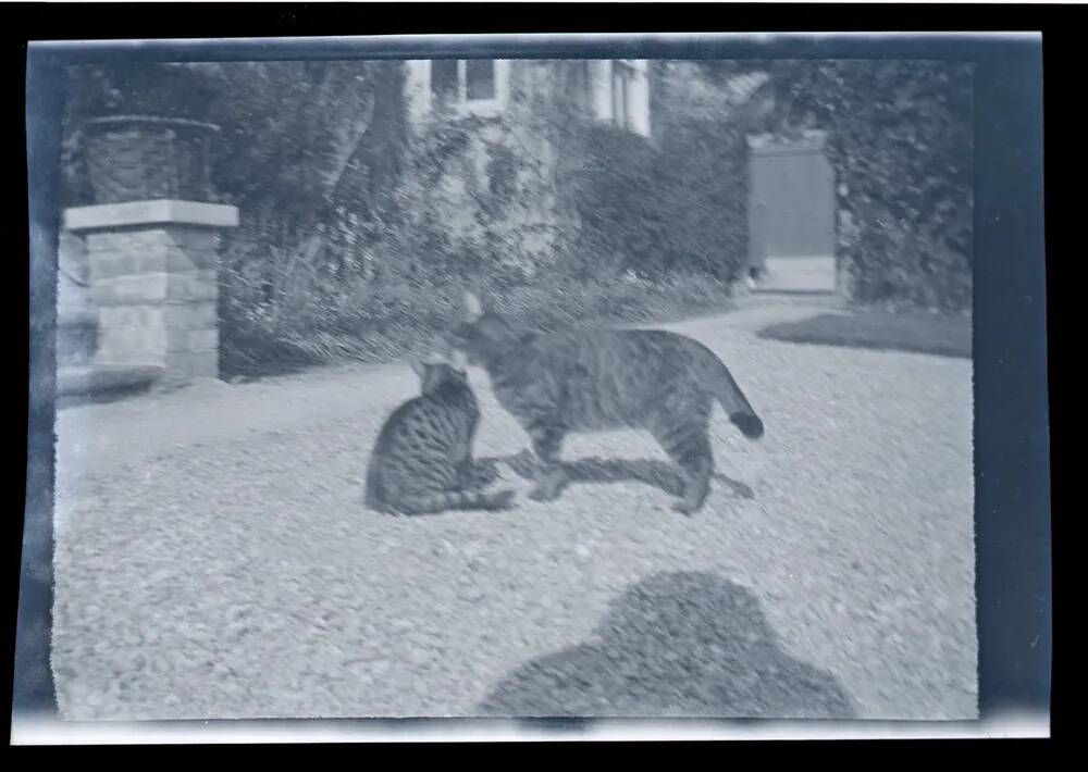 An image from the Dartmoor Trust Archive