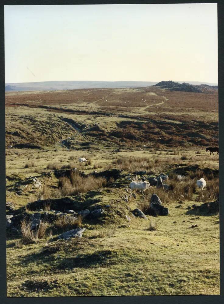 An image from the Dartmoor Trust Archive