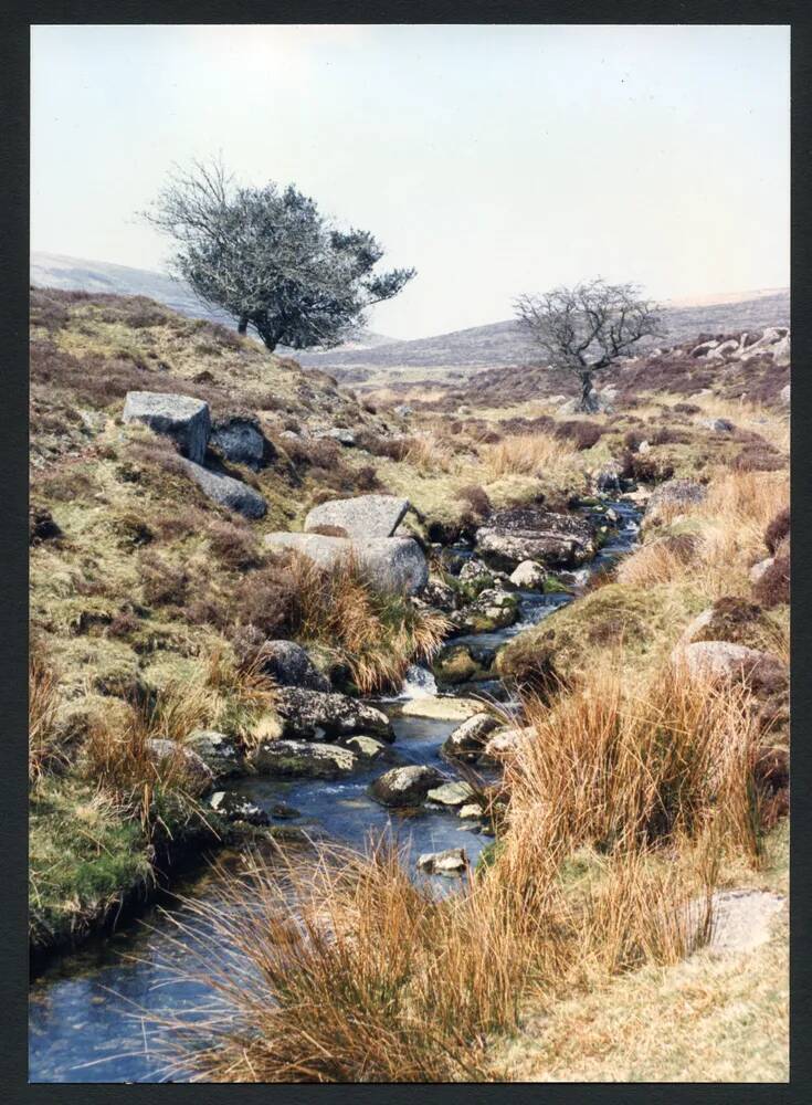 An image from the Dartmoor Trust Archive