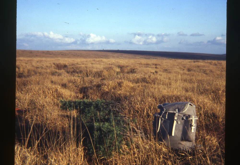 An image from the Dartmoor Trust Archive