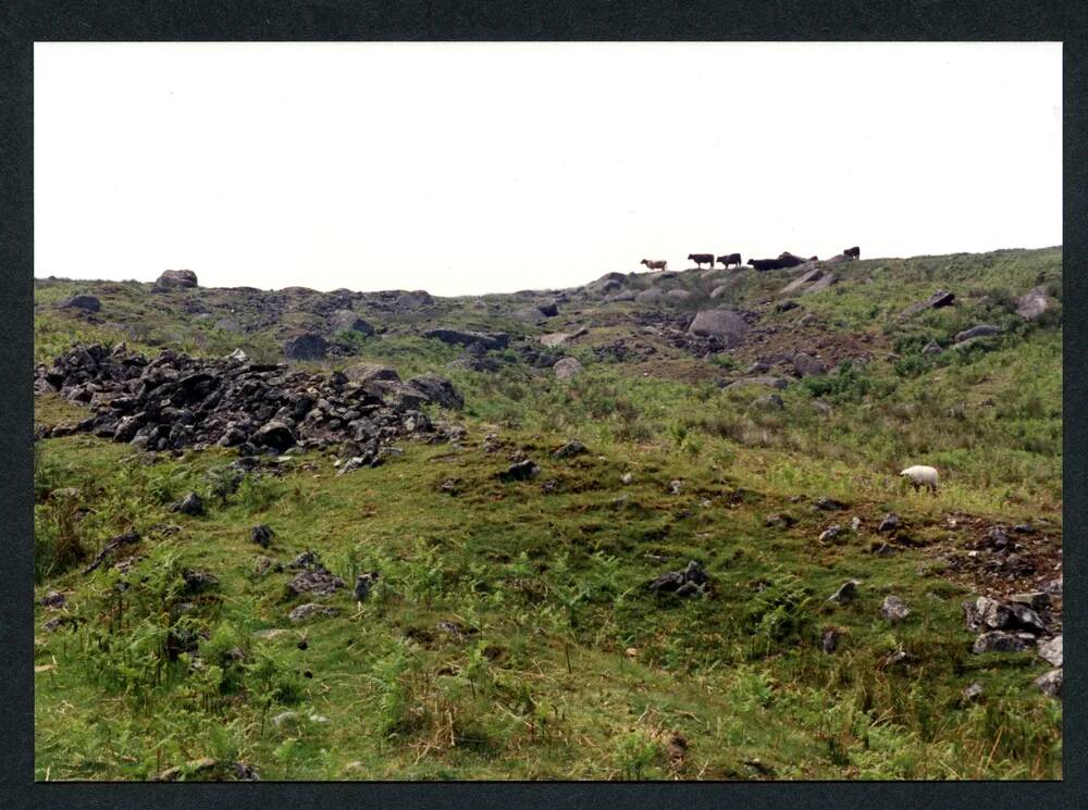 20/36 Tinners Workings near source of Heng Lake 4/7/1991