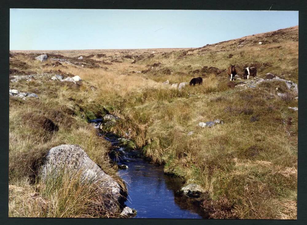 An image from the Dartmoor Trust Archive