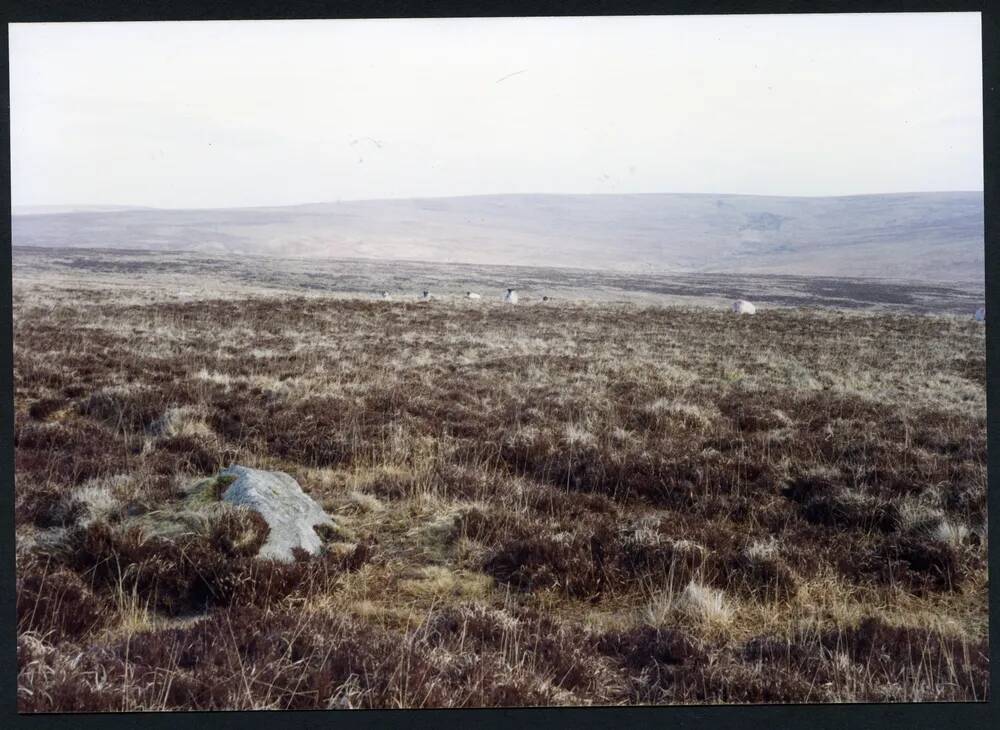 An image from the Dartmoor Trust Archive