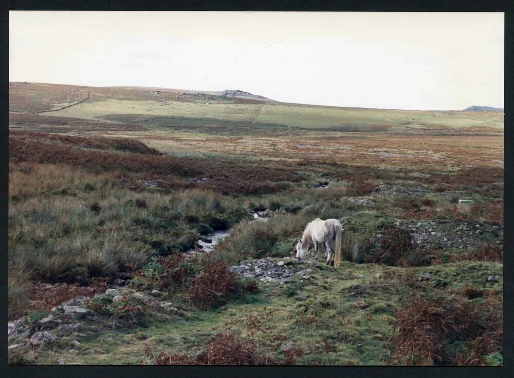 An image from the Dartmoor Trust Archive