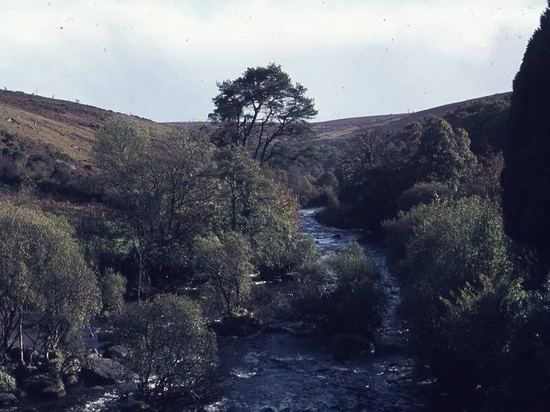 An image from the Dartmoor Trust Archive