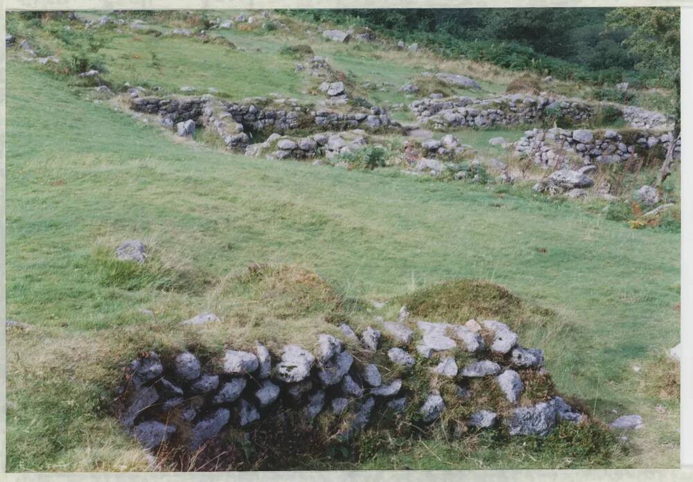 An image from the Dartmoor Trust Archive