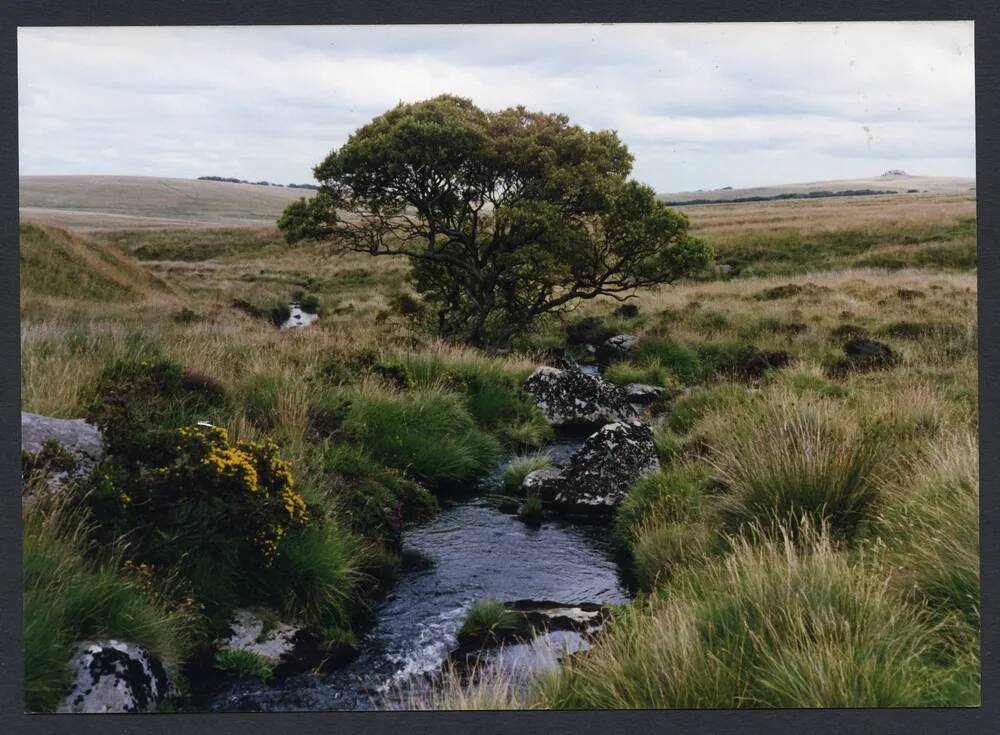 An image from the Dartmoor Trust Archive