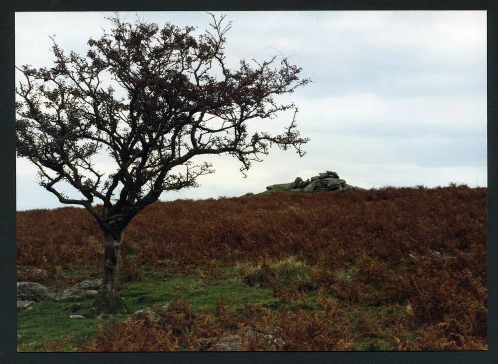 An image from the Dartmoor Trust Archive