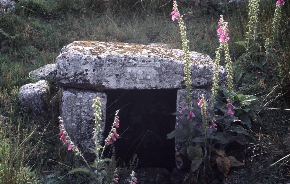 An image from the Dartmoor Trust Archive