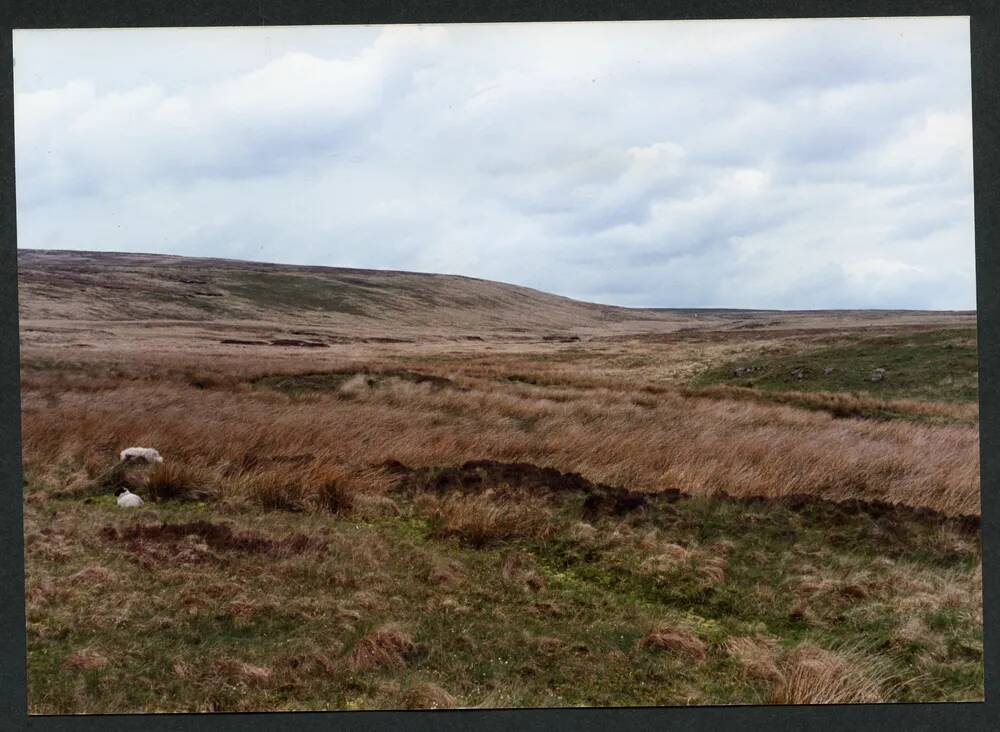 13/32 Above Kit Steps to Cut Hill and Cut Hill Lane Stream 25/5/1992