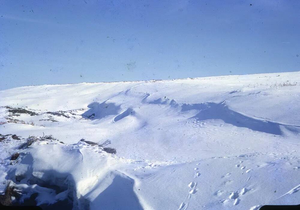 An image from the Dartmoor Trust Archive