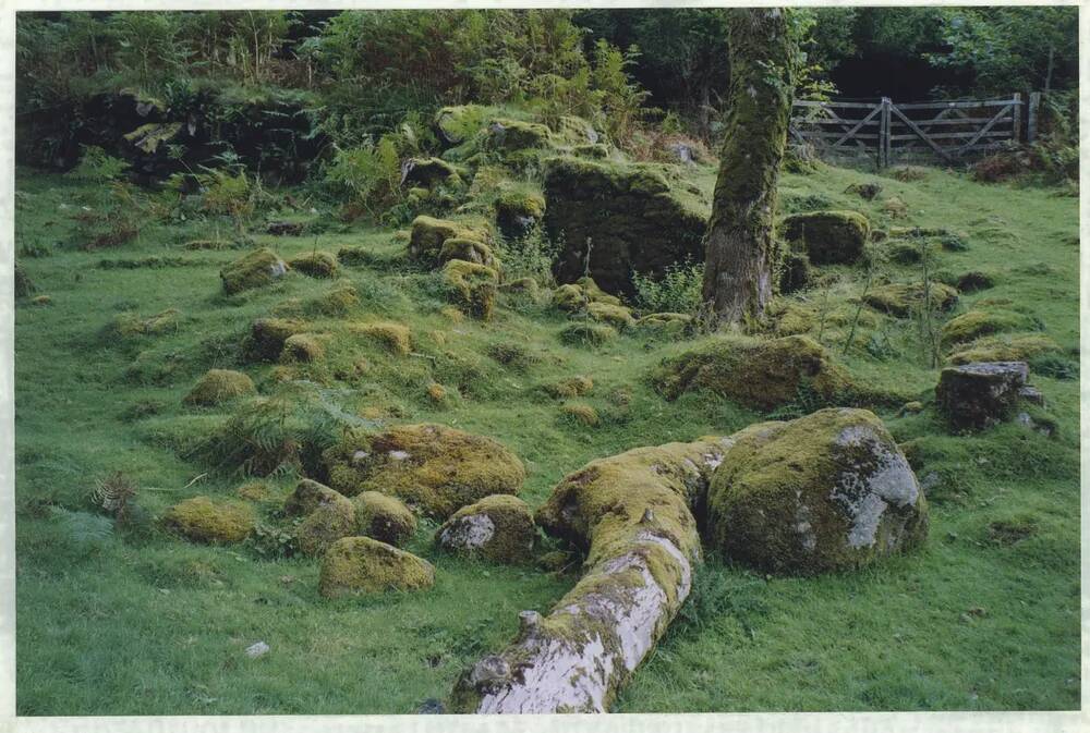 An image from the Dartmoor Trust Archive