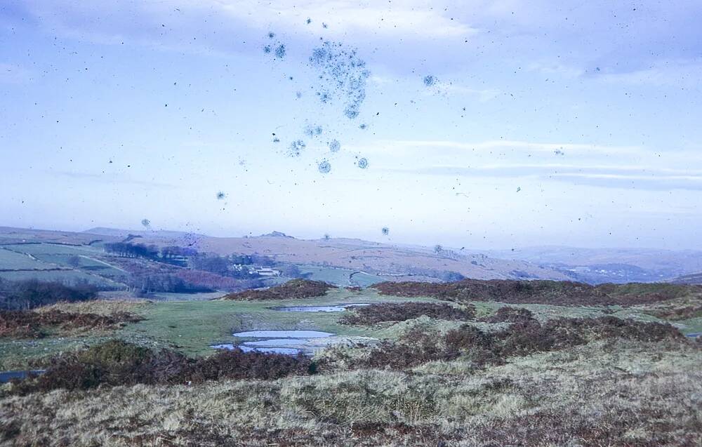 An image from the Dartmoor Trust Archive