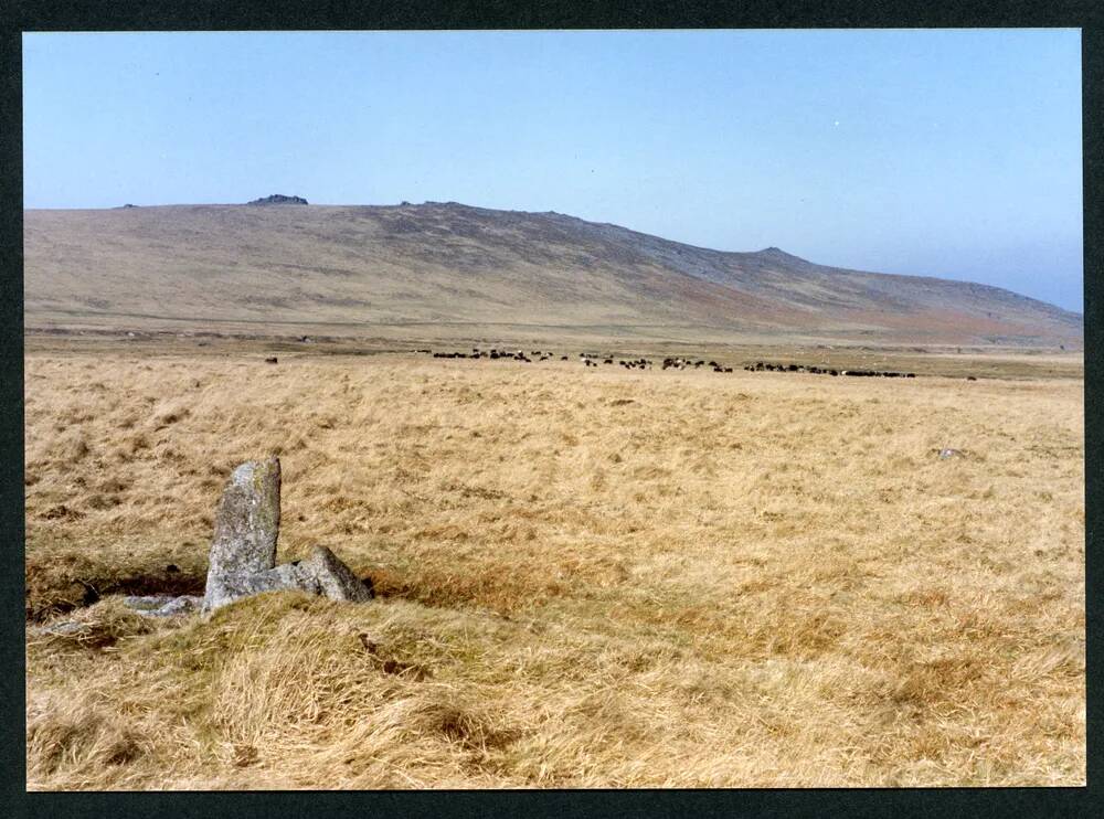 An image from the Dartmoor Trust Archive