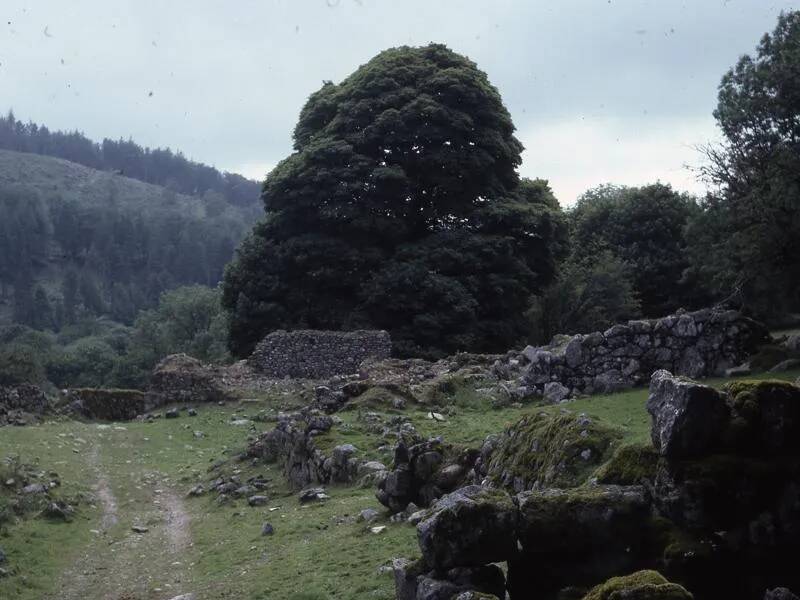 An image from the Dartmoor Trust Archive