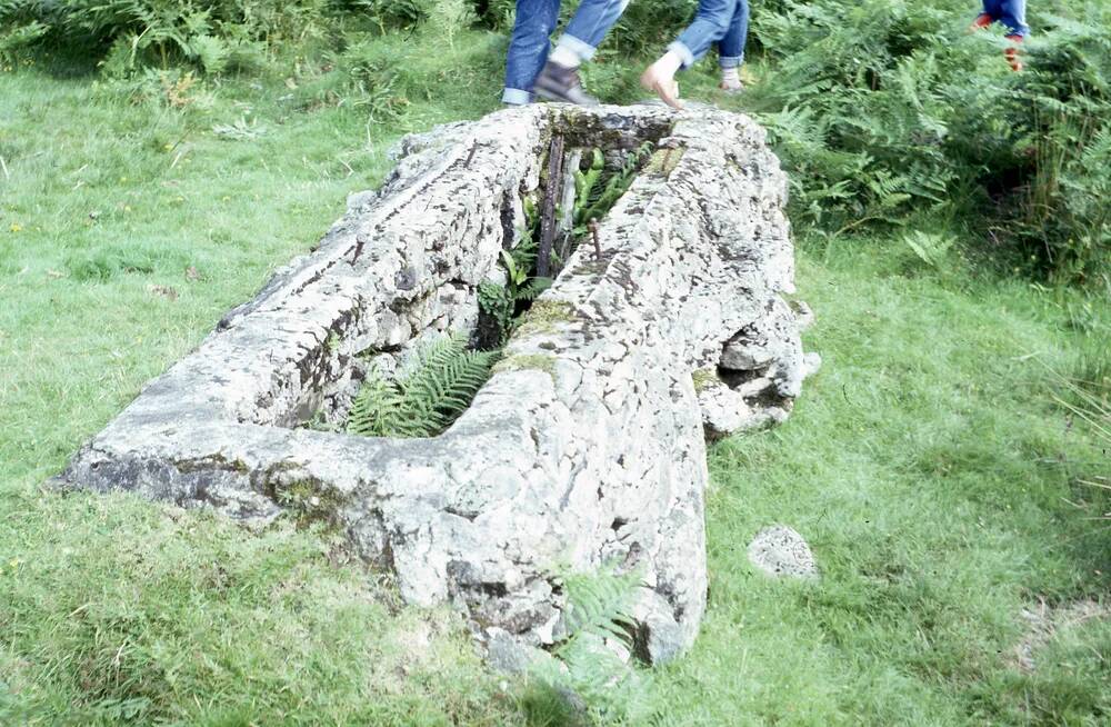 An image from the Dartmoor Trust Archive