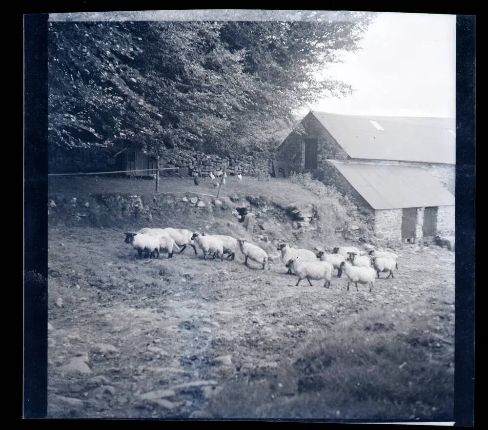 An image from the Dartmoor Trust Archive