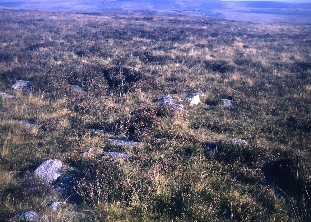 An image from the Dartmoor Trust Archive