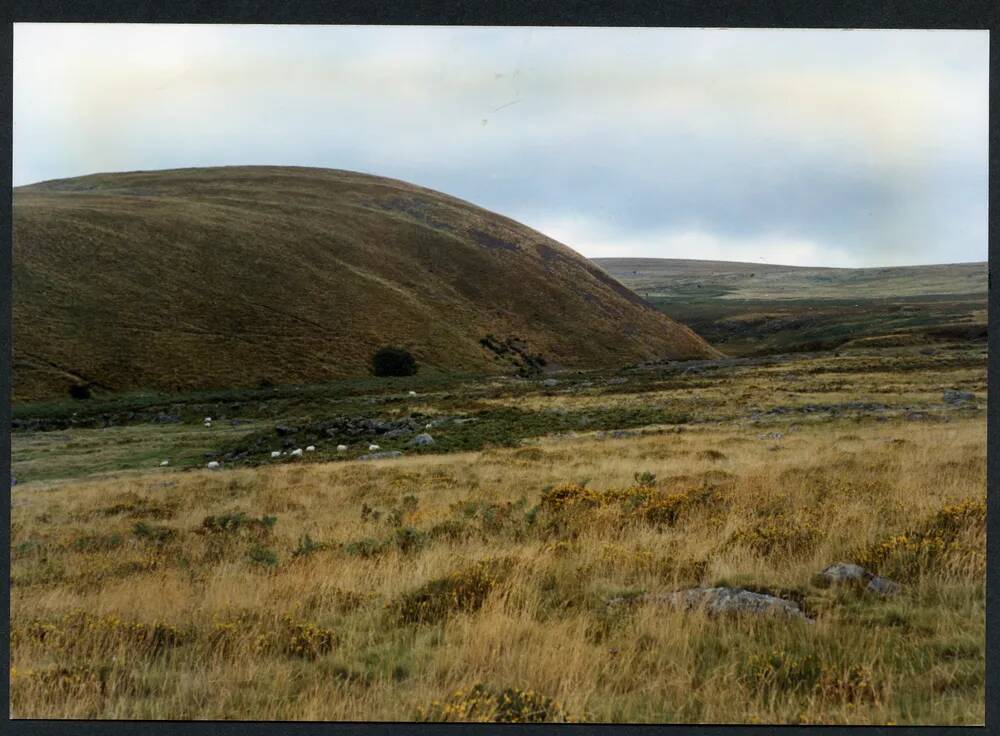 An image from the Dartmoor Trust Archive