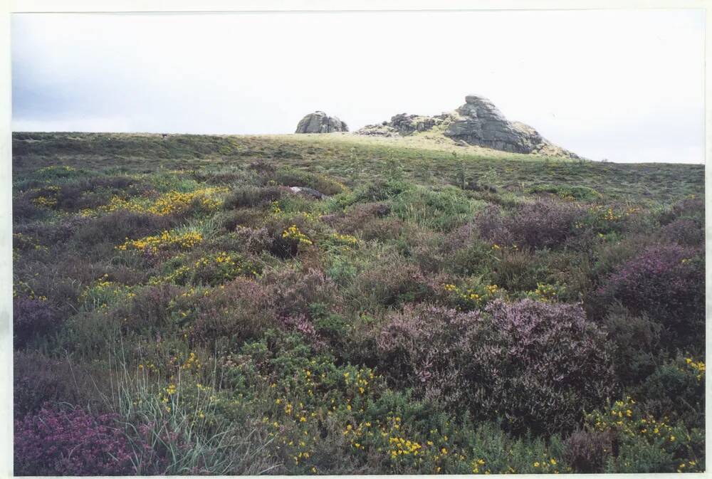 An image from the Dartmoor Trust Archive