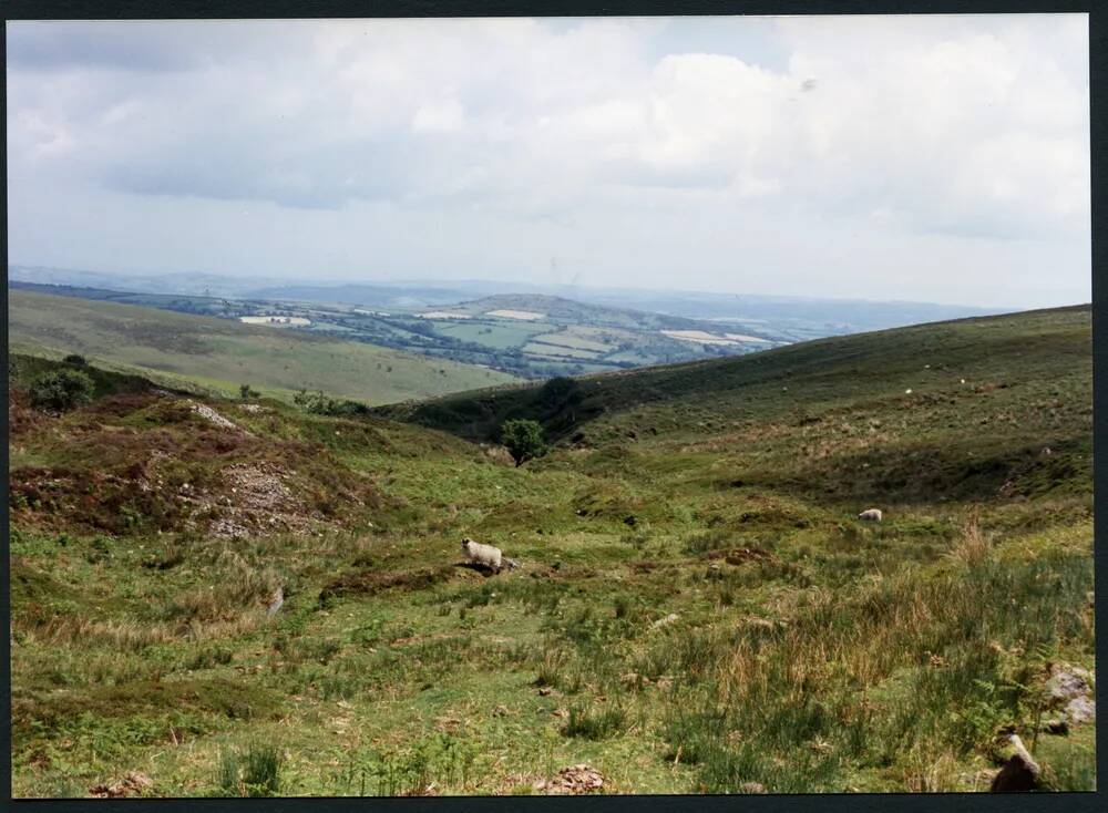 17/34 Mine workings Red Brook 20/6/1991