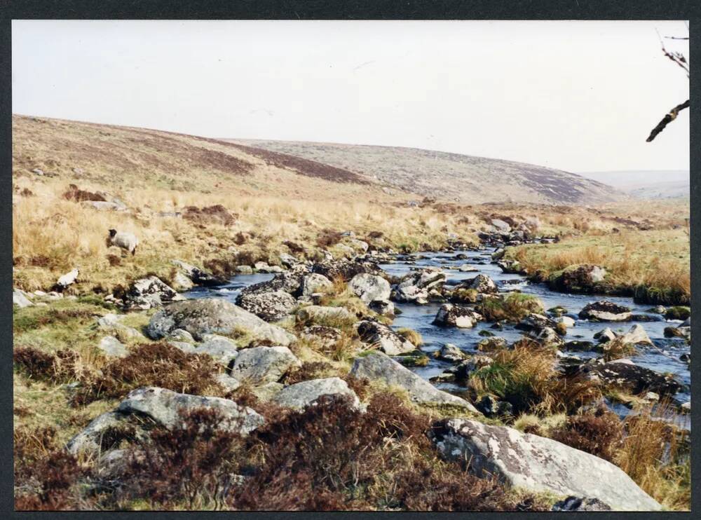 An image from the Dartmoor Trust Archive