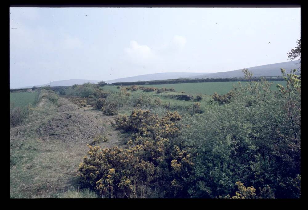 Peat Railway Viaduct