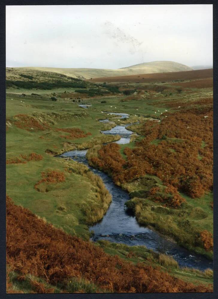 An image from the Dartmoor Trust Archive